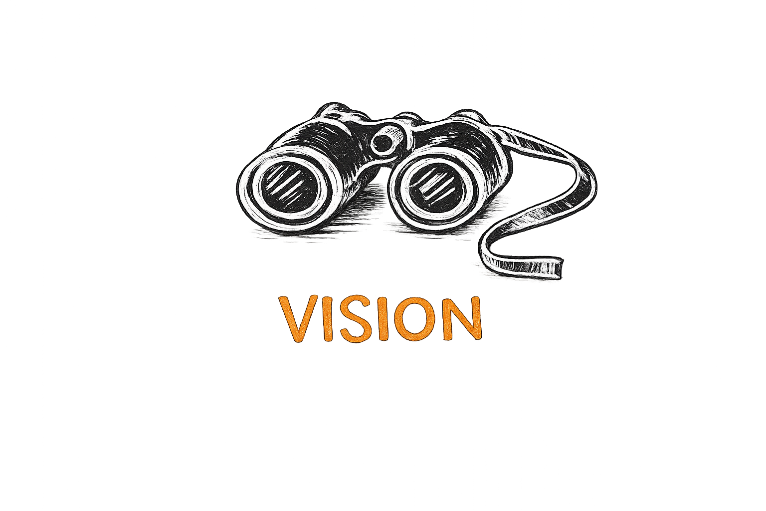 Vision